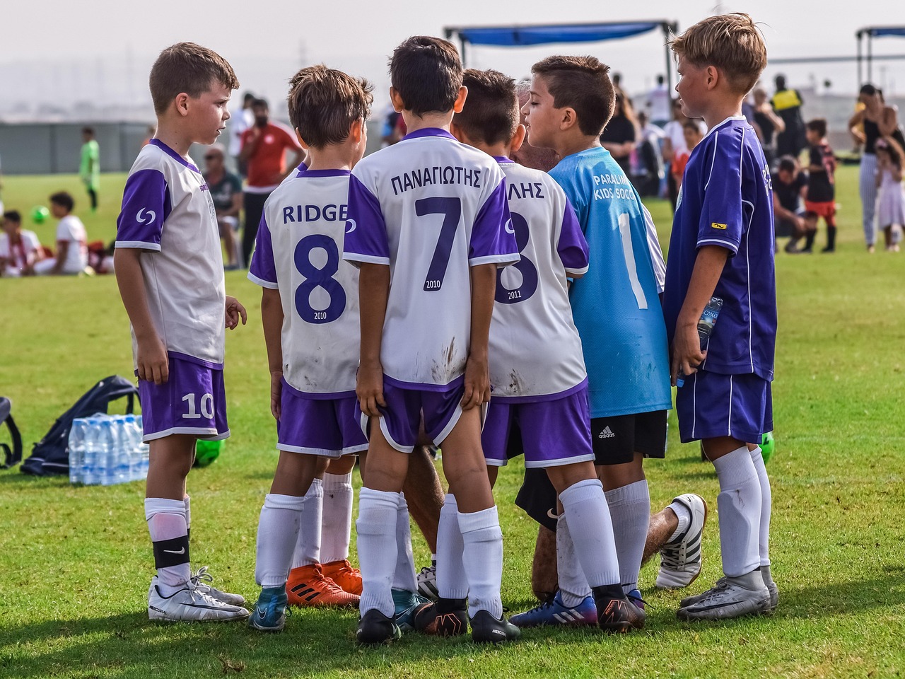 花生ip实名账号：琥珀平台开户