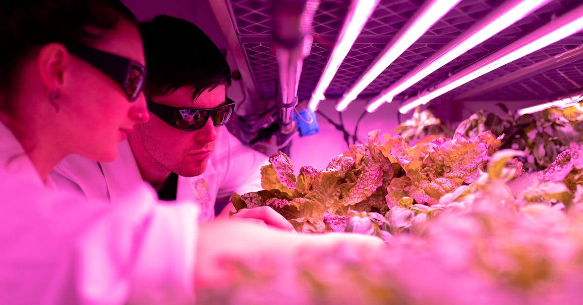 伦敦纹身购买平台