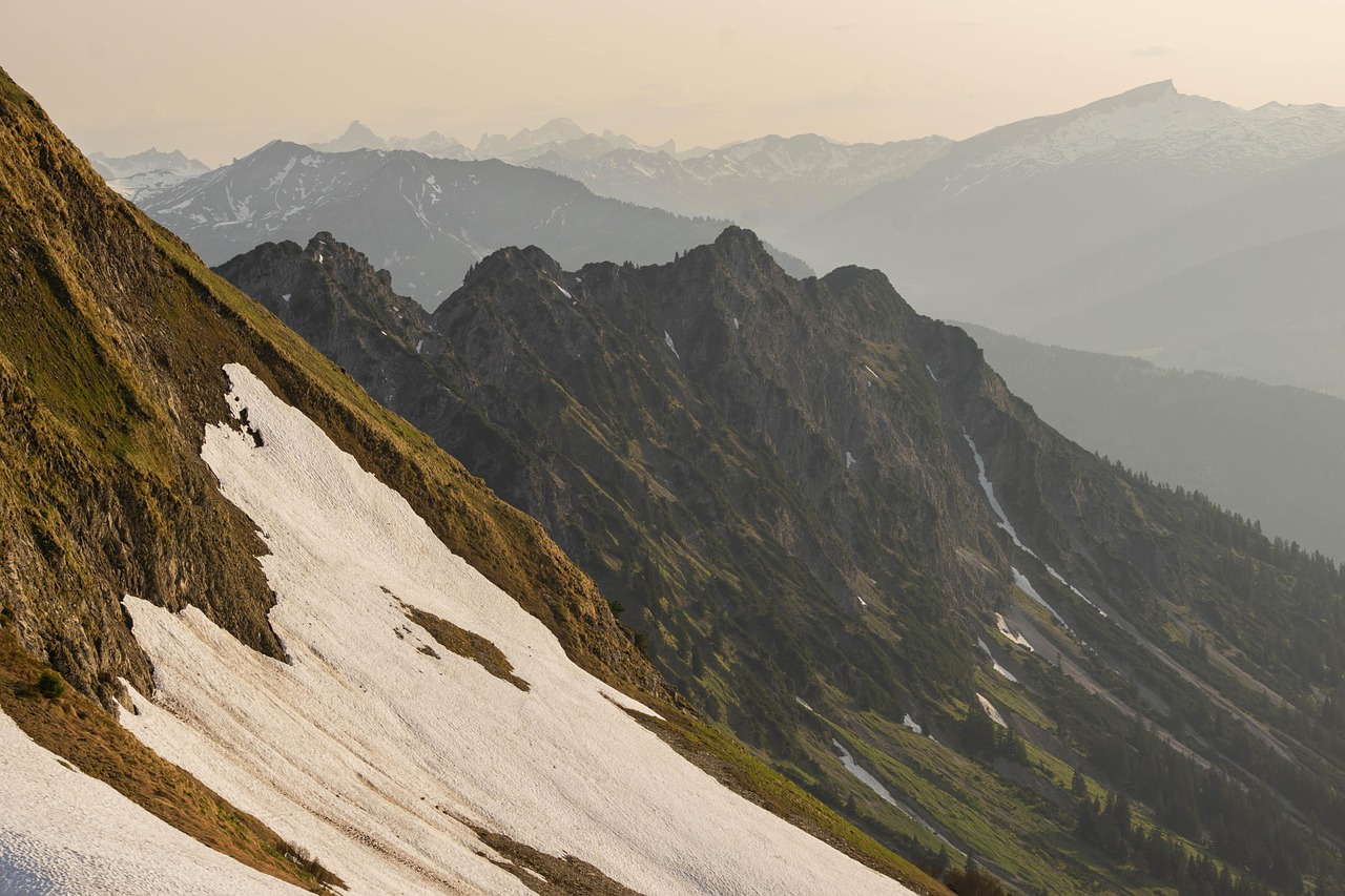 东方之珠奶茶爆珠：荣一娱乐代理注册