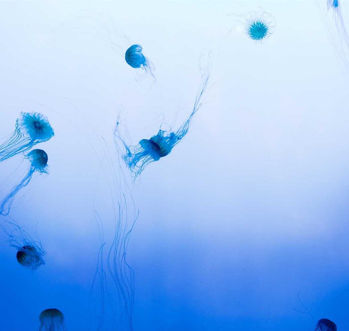 不江湖OL辅助- 青云谱区分公司注册代理