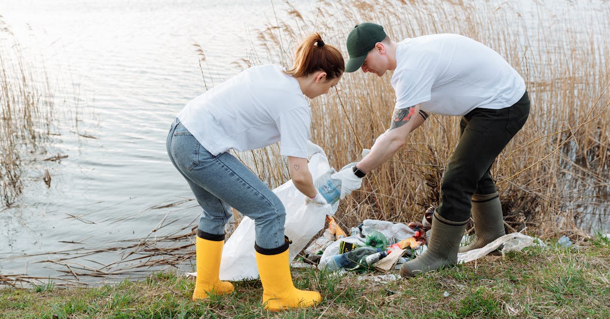日税香草魔鬼：福州名人书画电商平台代理