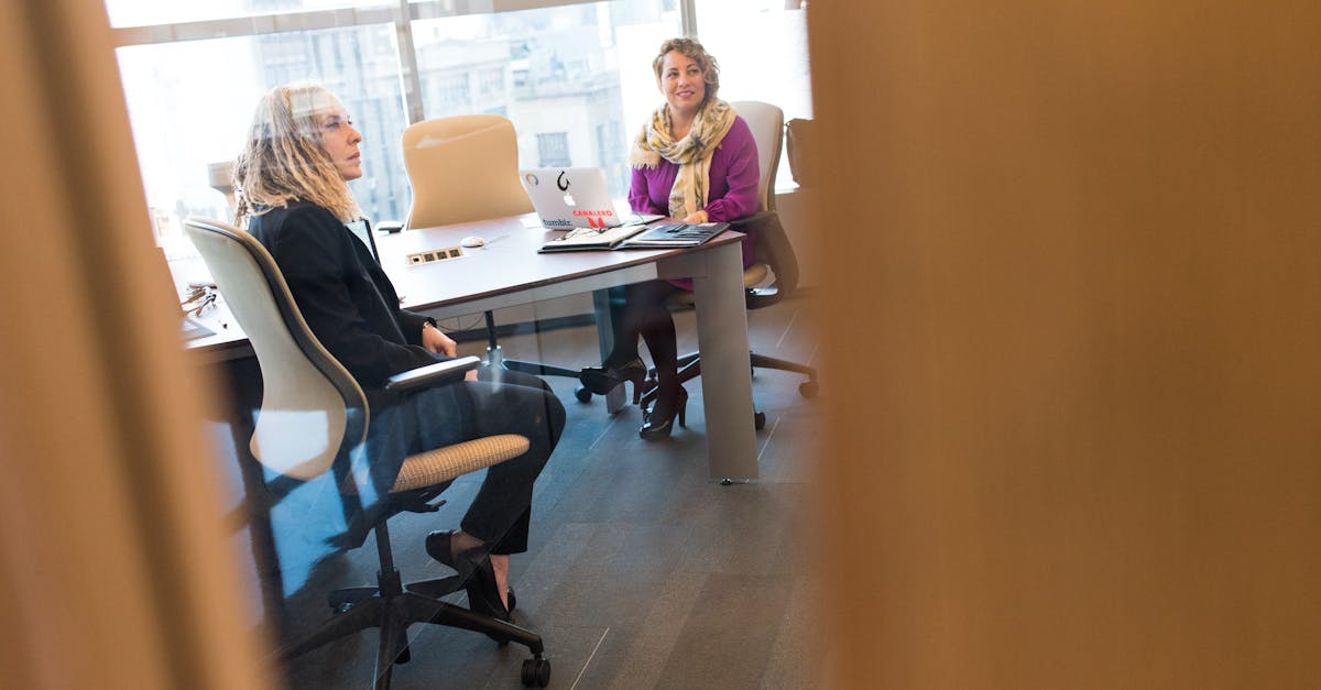 Holle菠萝app详情下载教程