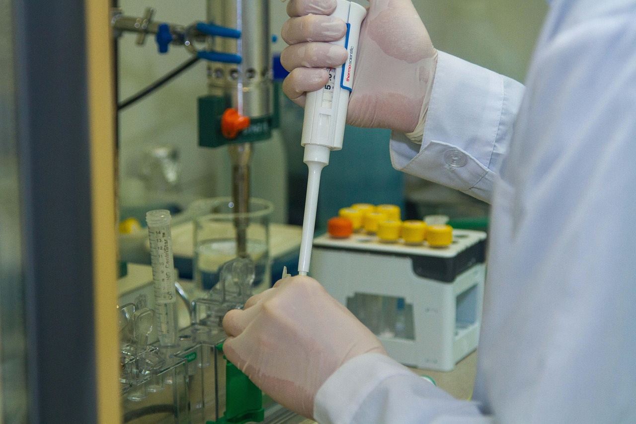 日税金鼎长和平：app为什么无法详情下载教程