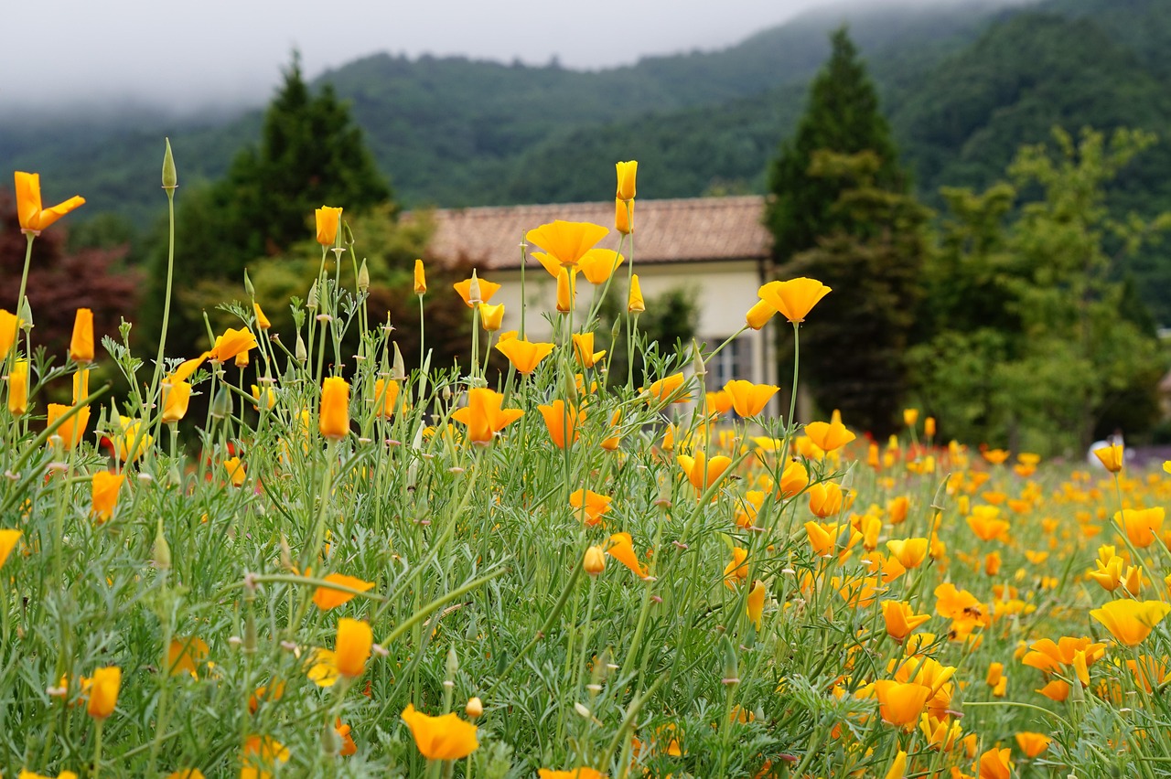 在线DDOS攻击平台|江西防水建筑材料购买平台