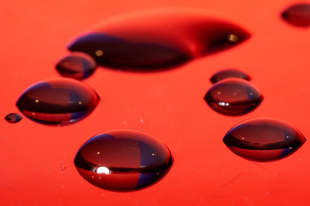 亿速云实名账号：温州单位财务代理平台电话